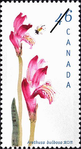 Stamp, Arethusa bulbosa, Canada,  , Flowers, Orchids, Conferences, Plants (Flora)