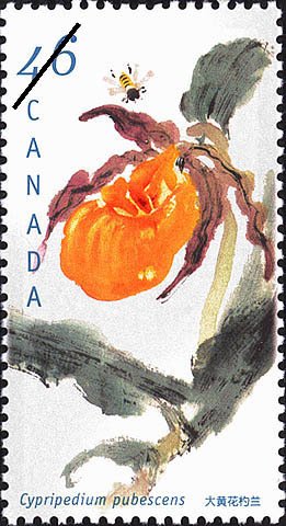 Stamp, Cypripedium parviflorum var.pubescens (syn.Cypripedium pubes, Canada,  , Flowers, Orchids, Conferences, Plants (Flora)