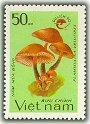 Mushrooms & Logo of Tourism