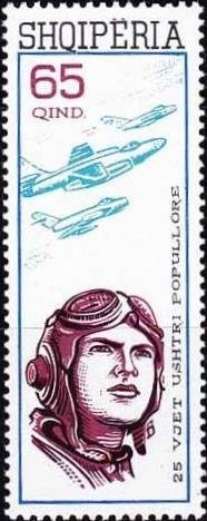 Pilot, Fighter