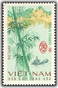 Bambusa nutans