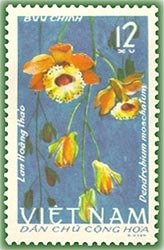 Stamp, Dendrobium moschatum, Vietnam,  , Orchids