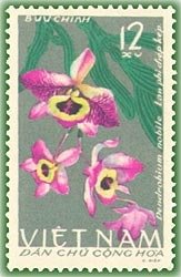 Stamp, Dendrobium nobile, Vietnam,  , Flowers, Orchids, Plants (Flora)