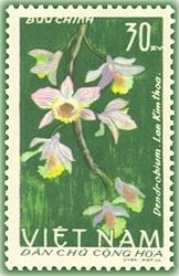 Stamp, Dendrobium hybridae, Vietnam,  , Orchids