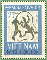 Water Monitor (Varanus salvator)