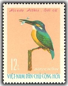 Stamp, Common Kingfisher (Alcedo atthis), Vietnam,  , Kingfishers