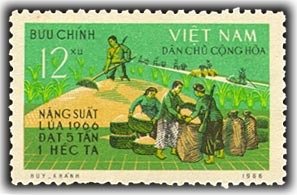 Rice cultivation