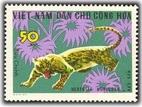 Stamp, Clouded leopard (Neofelis nebulosa), Vietnam,  , Mammals, Leopards, Animals (Fauna)