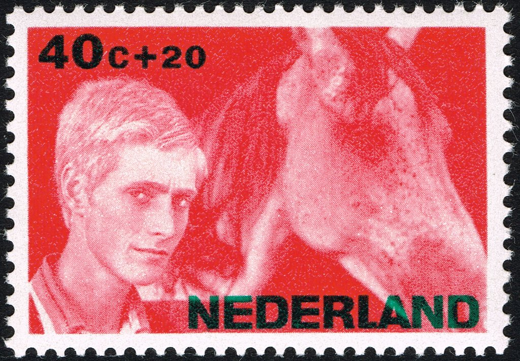 Schoolboy with horse