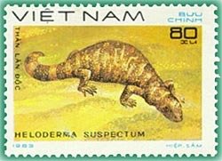 Gila Monster (Heloderma suspectum)