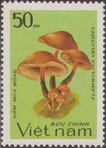 Stamp, Flammulina velutipes, Vietnam,  , Mushrooms
