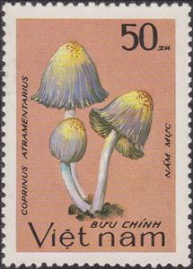 Stamp, Coprinus atramentarius, Vietnam,  , Mushrooms