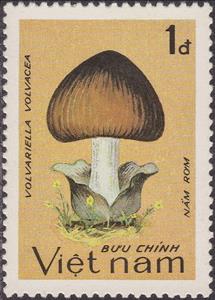 Stamp, Volvariella volvacea, Vietnam,  , Mushrooms