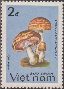 Stamp, Agaricus silvaticus, Vietnam,  , Mushrooms