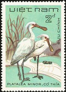 Stamp, Black-faced Spoonbill (Platalea minor), Vietnam,  , Birds, Animals (Fauna)