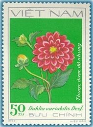 Stamp, Red decorative dahlias (Dahlia variabilis Desf.), Vietnam,  , Flowers, Plants (Flora)