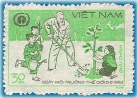 Planting tree