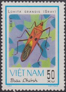 Stamp, Giant Red Bug (Lohita grandis), Vietnam,  , Insects, Animals (Fauna)
