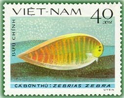Stamp, Zebra Sole (Zebrias zebra), Vietnam,  , Animals (Fauna)
