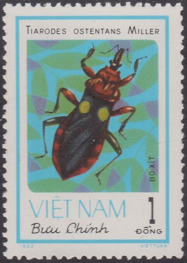 Assasin Bug (Tiarodes ostentans)