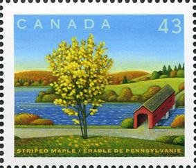 Stamp, Striped Maple, Canada,  , Landscapes, Trees, Plants (Flora)