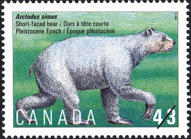 Short-faced Bear (Arctodus simus), Pleistocene Epoch