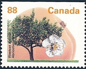 Stamp, Westcot Apricot, Canada,  , Trees, Flowers, Fruits, Plants (Flora)