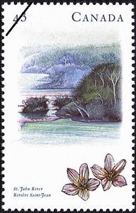 Stamp, St. John River, New Brunswick, Canada,  , Landscapes, Rivers