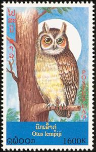 Stamp, Sunda Scops Owl (Otus lempiji), Laos,  , Birds, Birds of Prey, Owls, Animals (Fauna)