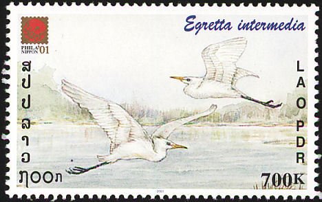 Stamp, Intermediate Egret (Egretta intermedia) , Laos,  , Birds, Animals (Fauna)
