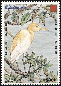 Stamp, Cattle Egret (Bubulcus ibis), Laos,  , Birds, Animals (Fauna)