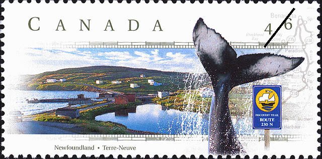 Discovery Trail, Newfoundland - Whale Fin