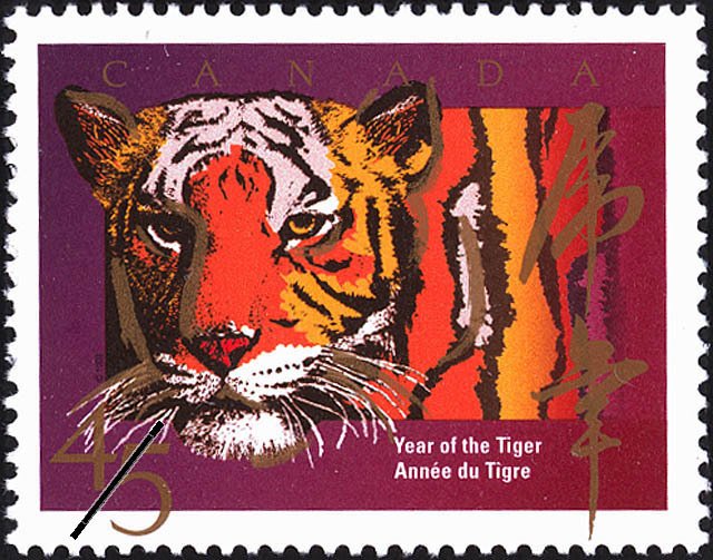 Year of the Tiger
