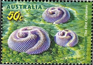 Stamp, Tribrachidium, Australia,  