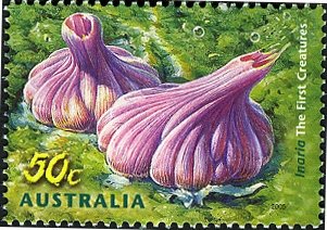 Stamp, Inaria, Australia,  