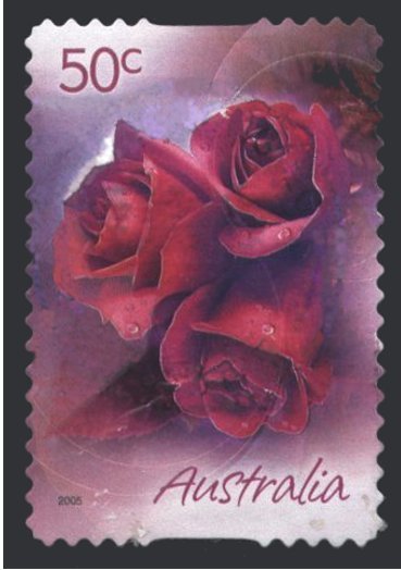 Roses