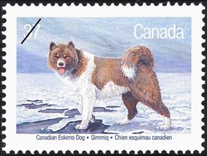Stamp, Canadian Eskimo Dog (Canis lupus familiaris), Canada,  , Mammals, Dogs, Animals (Fauna)