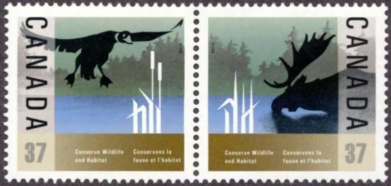 Duck Landing, Moose Feeding