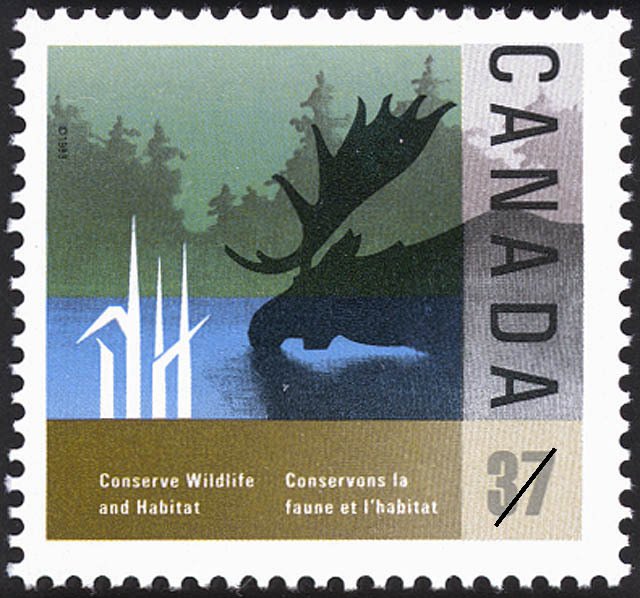 Moose