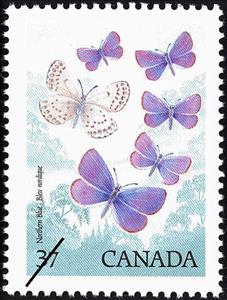 Stamp, Northern Blue (Lycaeides idas), Canada,  , Insects, Butterflies, Animals (Fauna)