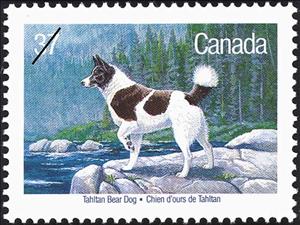 Stamp, Tahltan Bear Dog (Canis lupus familiaris), Canada,  , Mammals, Dogs, Animals (Fauna)
