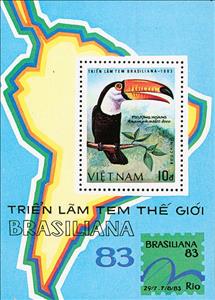 Souvenir Sheet, Common Toucan (Ramphastos toco), Vietnam,  , Birds, Animals (Fauna)