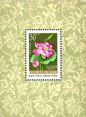 Spring and summer flowers