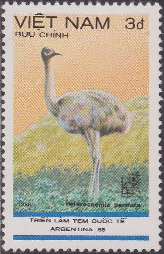 Darwin's Rhea (Peterocnemia pennata)