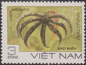 Stamp, Eight-armed Luidia Sea Star (Luidia maculata), Vietnam,  , Sea Life, Starfish, Animals (Fauna)