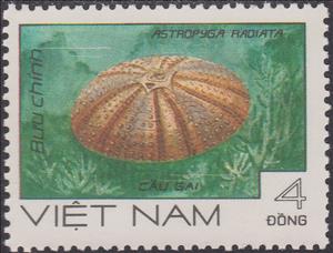 Stamp, False Fire Urchin (Astropyga radiata), Vietnam,  , Sea Life, Animals (Fauna)