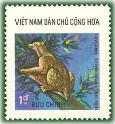 Malayan Flying Lemur (cynocephalus Variegatus)