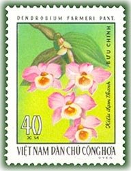 Stamp, Dendrobium farmeri, Vietnam,  , Flowers, Orchids