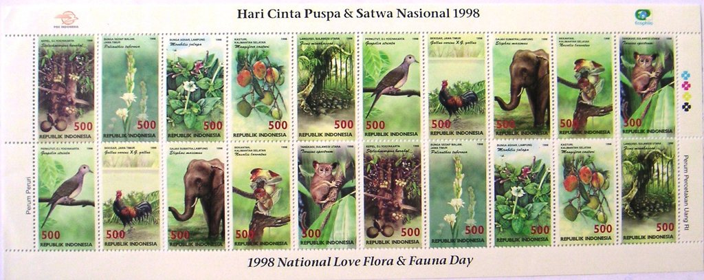Flora and Fauna