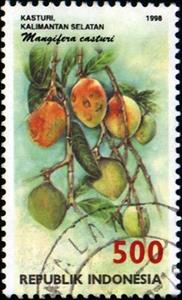 Stamp, Flora and Fauna- Mangifera casturi, Indonesia,  , Fruits